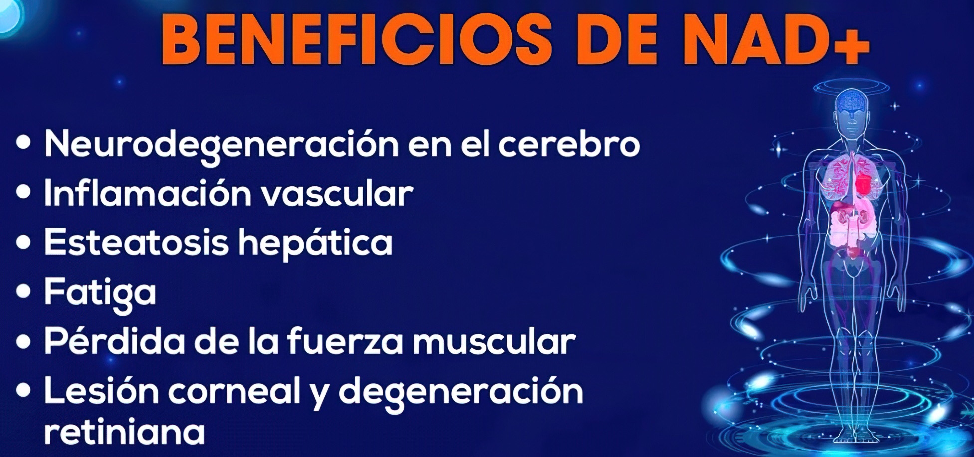 Atributos positivos del NAD